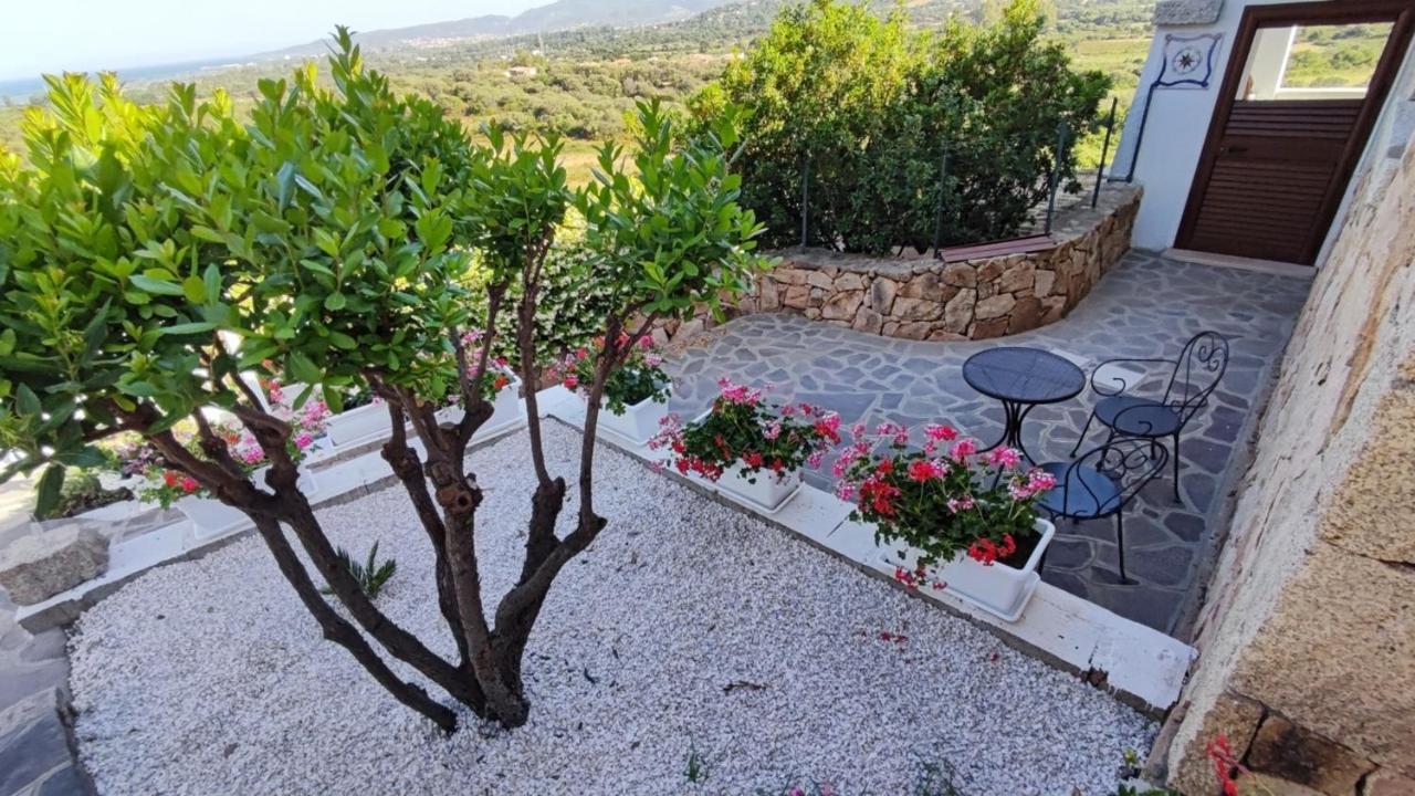 Casa L'Ulivariu Affittacamere San Teodoro  Exterior foto